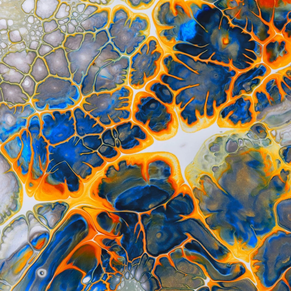 Neural brain in colors