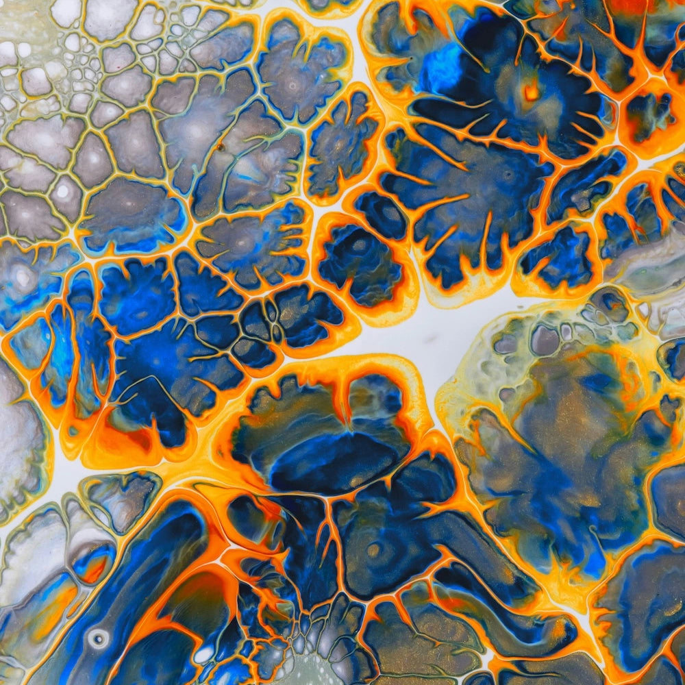 Neural brain in colors