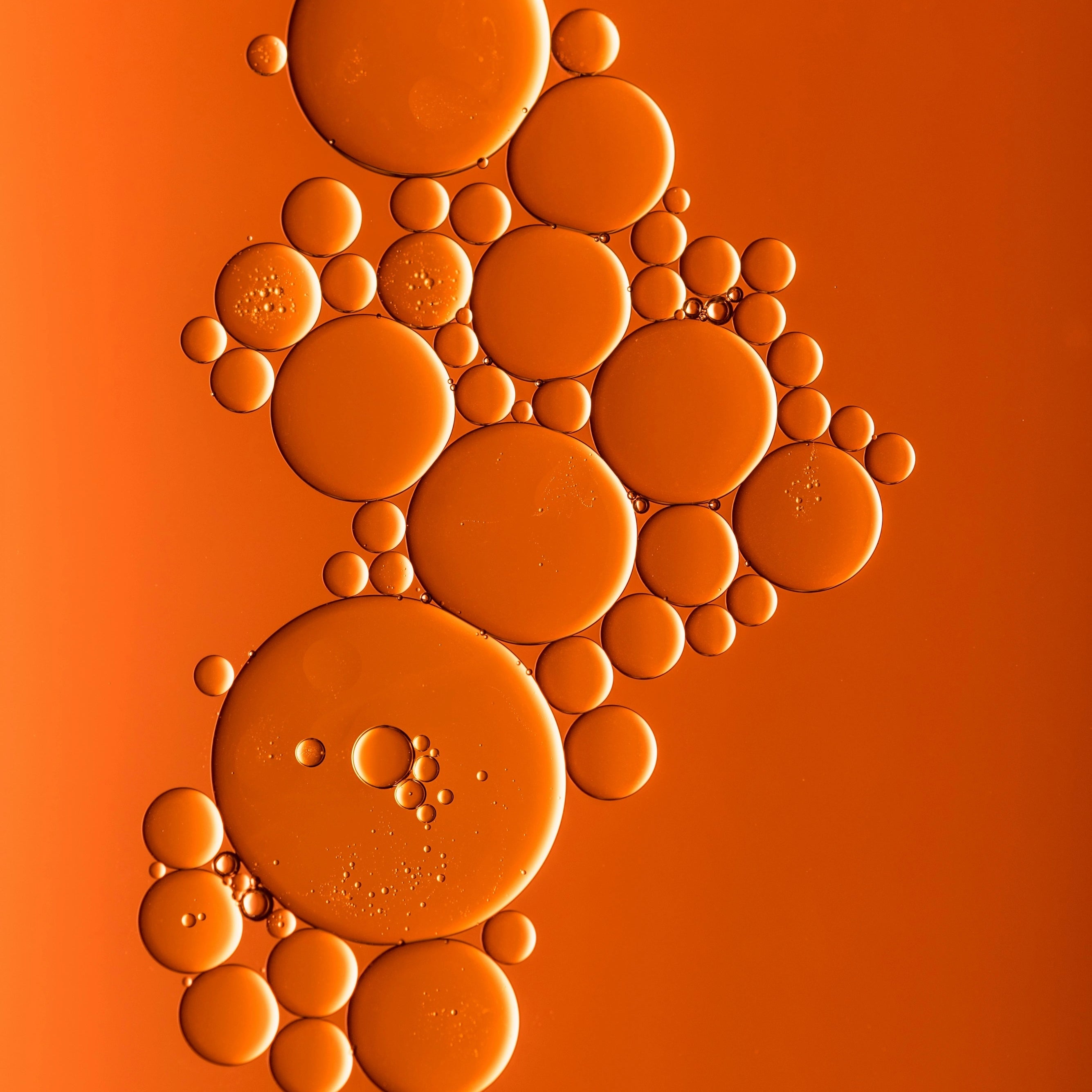 Orange cells