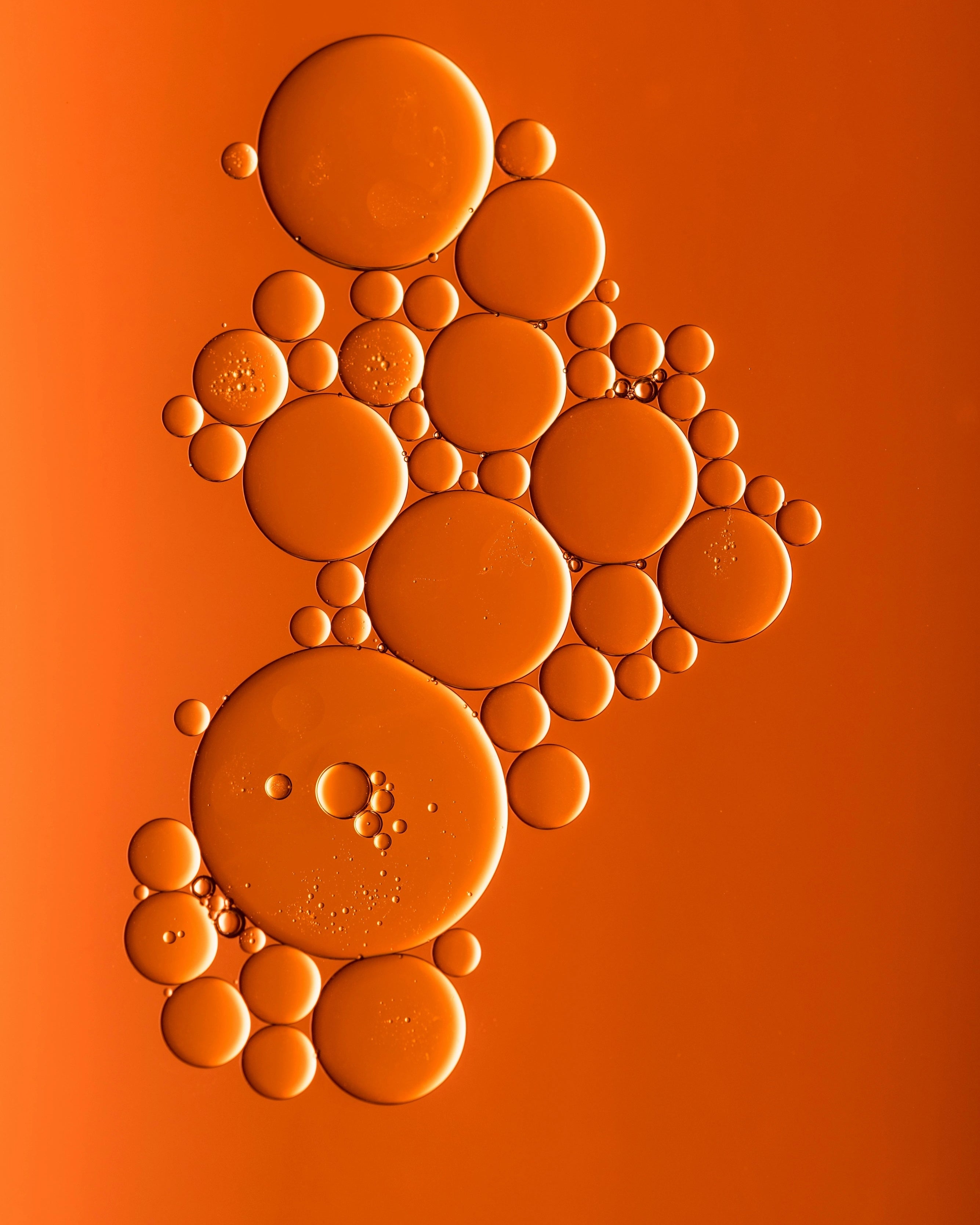 Orange cells