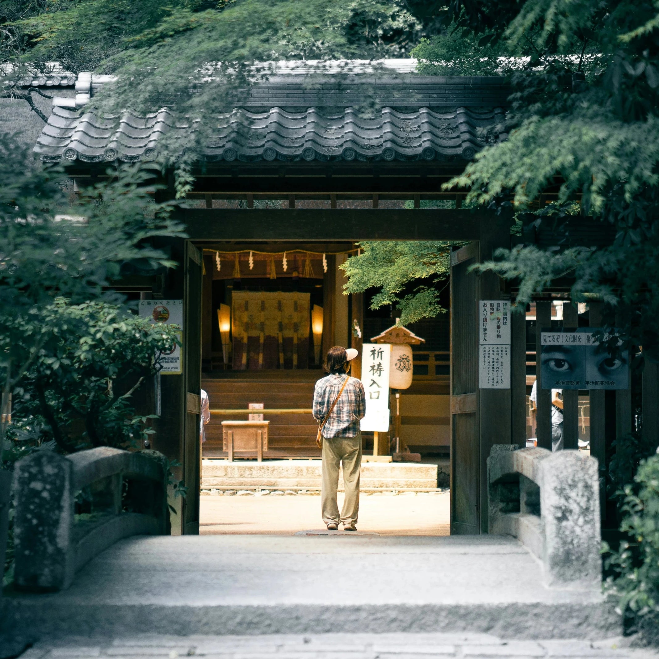 Entrée d'un temple chinois, naturel plantes